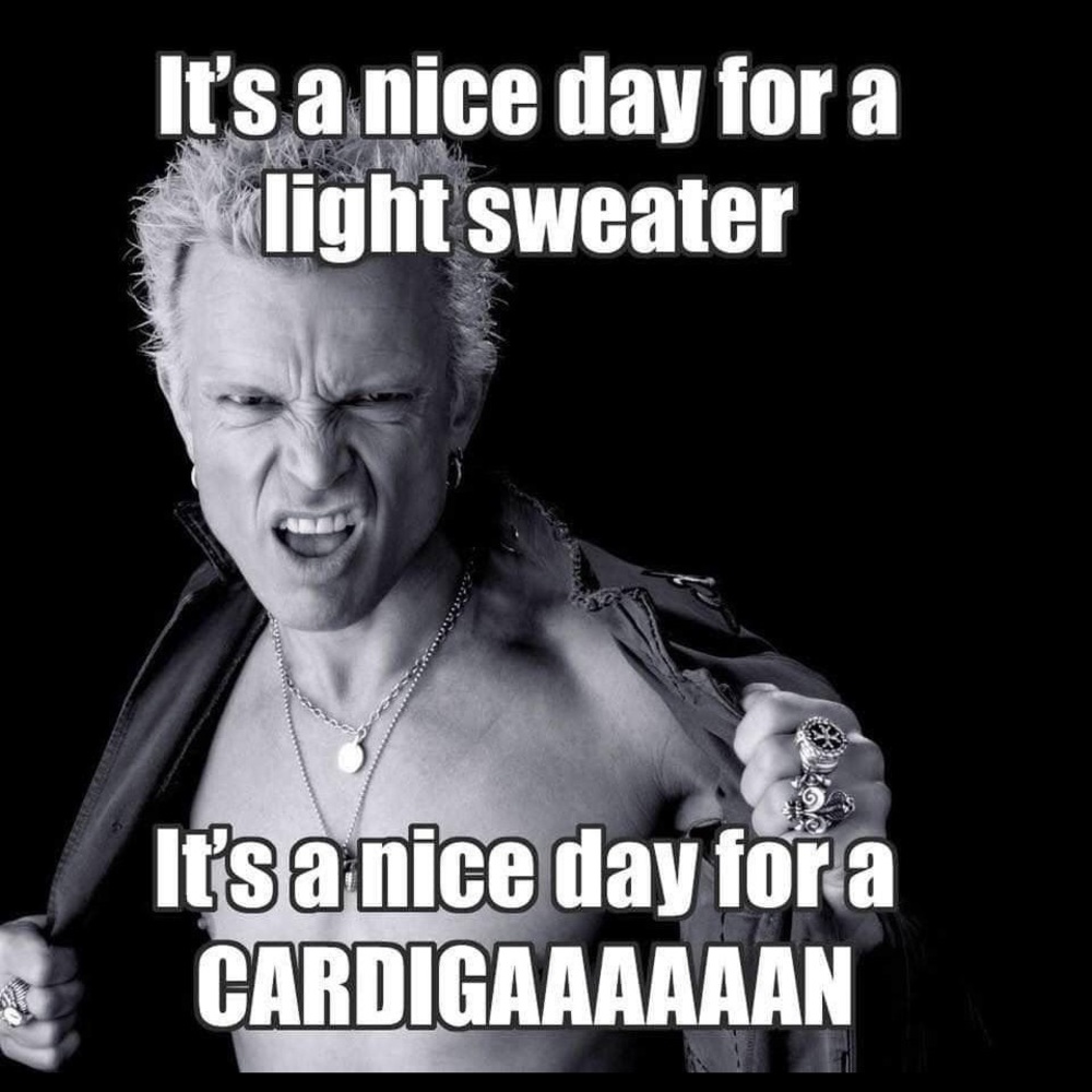 Grab Those Fall Sweaters!